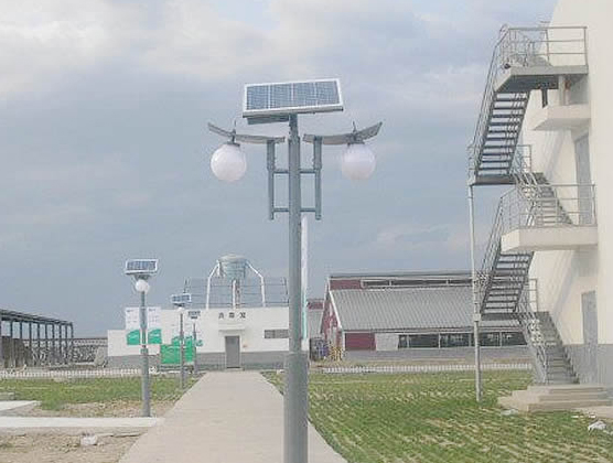 Project of solar garden light in Hebei, China